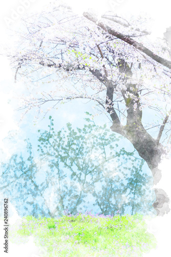 水面に反射した空と桜 Cherry Blossoms Stock イラスト Adobe Stock