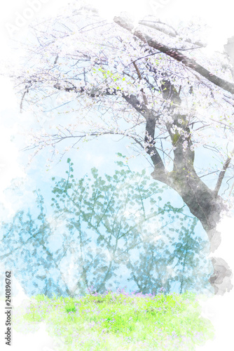 水面に反射した空と桜 Cherry Blossoms Adobe Stock でこのストックイラストを購入して 類似のイラストをさらに検索 Adobe Stock