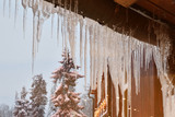 Fototapeta Panele - icicles hanging from the roofs of houses danger injury to people