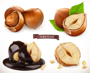 Wall Mural - Hazelnut. 3d realistic vector icon set