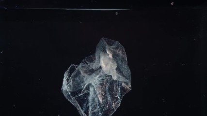 Wall Mural - plastic bag in water, pollution environmental problem concept