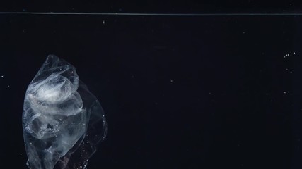 Wall Mural - plastic bag in water, pollution environmental problem concept