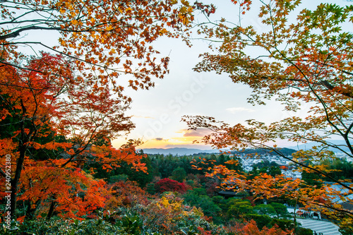 wonder garden in japan in autumn Poster Mural XXL