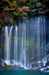  Shiraito waterfall in Autumn,Shizuoka, Japan