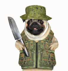 Wall Mural - The dog in hunter uniform is holding a big knife. White background.