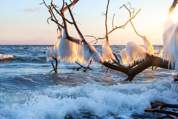 Wall Mural - Winterstimmung an der Ostsee