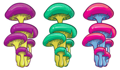 Forest mushrooms. Isolated vector illustrations of bright colorful mushrooms.