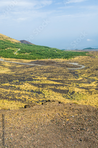 Fotografie, Obraz Panoramic view of the Etna valley, where the road leading to the central crater flows