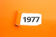 surprising Number / Year 1977 orange background