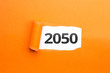 surprising Number / Year 2050 orange background
