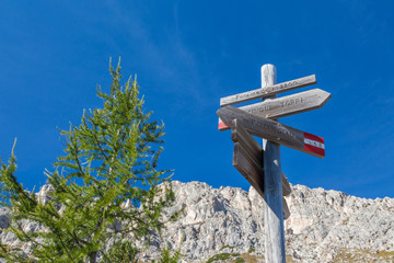 Wall Mural - Hiking around the Cinque Torri in the Dolomites of Northern Italy, Europe