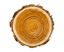 Large Circular Piece Of Wood Cross Section With Tree Ring Texture Pattern And Cracks Isolated On White Background. Rough Organic Edges Of Bark.