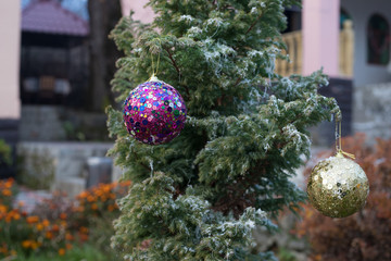 Christmas and New Year decoration on the pine tree branch with lights at the background at night outdoors. Concept of winter holidays.