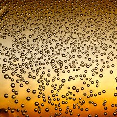 Wall Mural - Water Drops On Orange Background Texture Cola colorful waterdrop