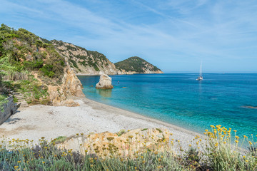 Wall Mural - landscape with sansone beach, elba island, tuscany, italy