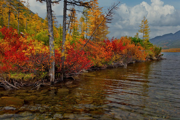 Russia. Magadan. The amazing beauty of the autumn of the Far East. The lake Maxi