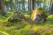 Big Rock In Forest Nature Landscape