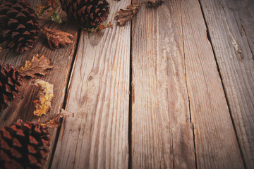 Poster - Texture legno autunno background