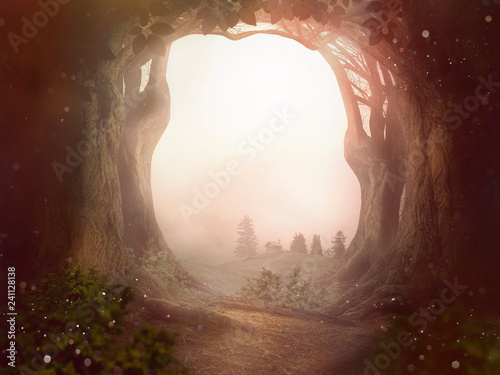 Fotografía fairy tale background trees forrest sun dust landscape