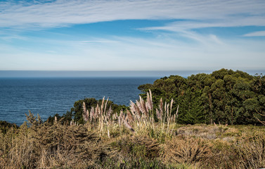 View from California Route 1 between Santa Cruz and Big Sur - 2 of 3