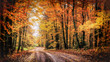 Forest Drive in Autumn. The Covered Road in Houghton County, Michigan. Seasonal background with copy space.