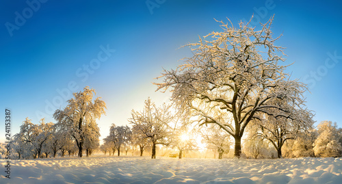 Plakat Zaczarowany krajobraz w zimie