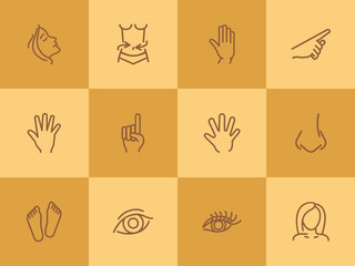 Poster - Human body line icon set. Face, hand, eye. Health concept. Can be used for topics like healthcare, weight, gesturing