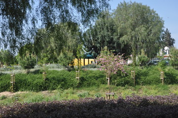 Wall Mural - The beautiful Linear Park Along the Garyllis River Limassol (Cyprus)