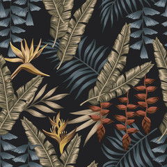 Wall Mural - Exotic jungle seamless black background