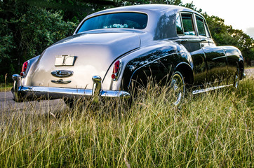 Rear view of classic luxury car on country road with high grass