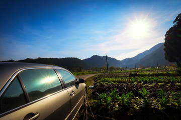 A reflection of the sun and landscape on the surface of a car. This is a crop field. Driving is a best way to tour a country. One can stop and many places and enjoy the journey. The scenery is pretty.