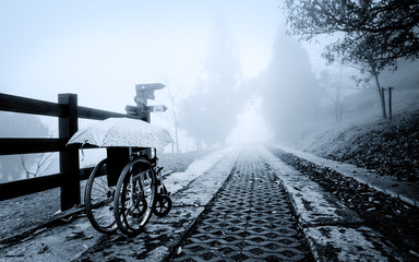Wall Mural - a forgotten lost wheelchair left by its owner. the straight path leads to an unknown destination. it