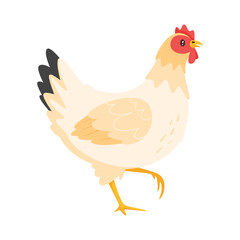 Canvas Print - Chicken vector illustration 