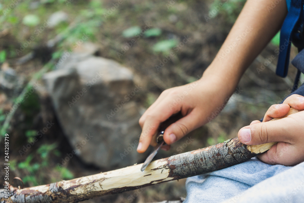 Mano de un niño con navaja quitando corteza rama en bosque - obrazy, fototapety, plakaty 