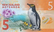 New Zealand 5 dollar 2015 banknote, penguin. New Zealand money currency close up.