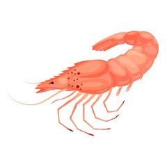 Sticker - Shrimp icon. Cartoon of shrimp vector icon for web design isolated on white background