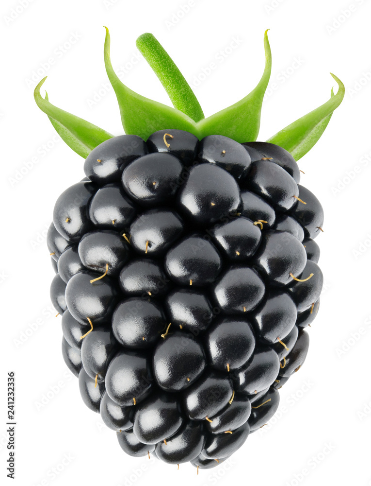 single blackberry png