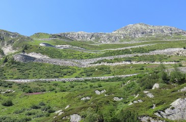 Canvas Print - alpes