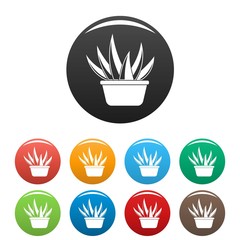 Poster - Aloe vera pot icons set 9 color vector isolated on white for any design