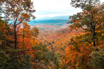 Sticker - Amicalola Waterfalls in Georgia