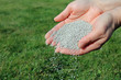 spreading lawn fertilizer by hand to maintain healthy grass
