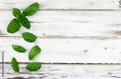Fotografie, Obraz Basil Leaves, Fresh, on Distressed White Wood Background From Above