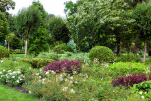 A Flower Bed In The Garden With Different Bushes And Blossoms On The Background Of Trees, Gardening.