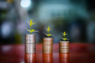 step of coins stacks with tree growing on top, money, shopping saving and investment or family planning concept.