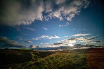 Poster - Green grass meadow in iceland with early morning