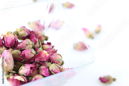 Many Beautiful Pink Roses Flowers On White Background Flora
