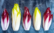 Food background, flat lay concept with fresh green Belgian endive or chicory and red Radicchio vegetables, also known as witlof