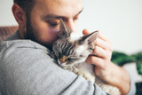 Fototapeta Koty - Portrait of happy cat with close eyes and young beard man snuggling. Handsome young man is hugging and cuddling his cute color point Devon Rex kitten. Domestic pets. Kitty likes attention and purrs