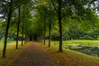 © Tomasz Wozniak - Long avenue in Palace gardens, Fredensborg, Denmark.