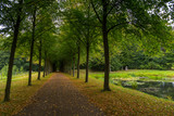 Fototapeta Sypialnia - Long avenue in Palace gardens, Fredensborg, Denmark.